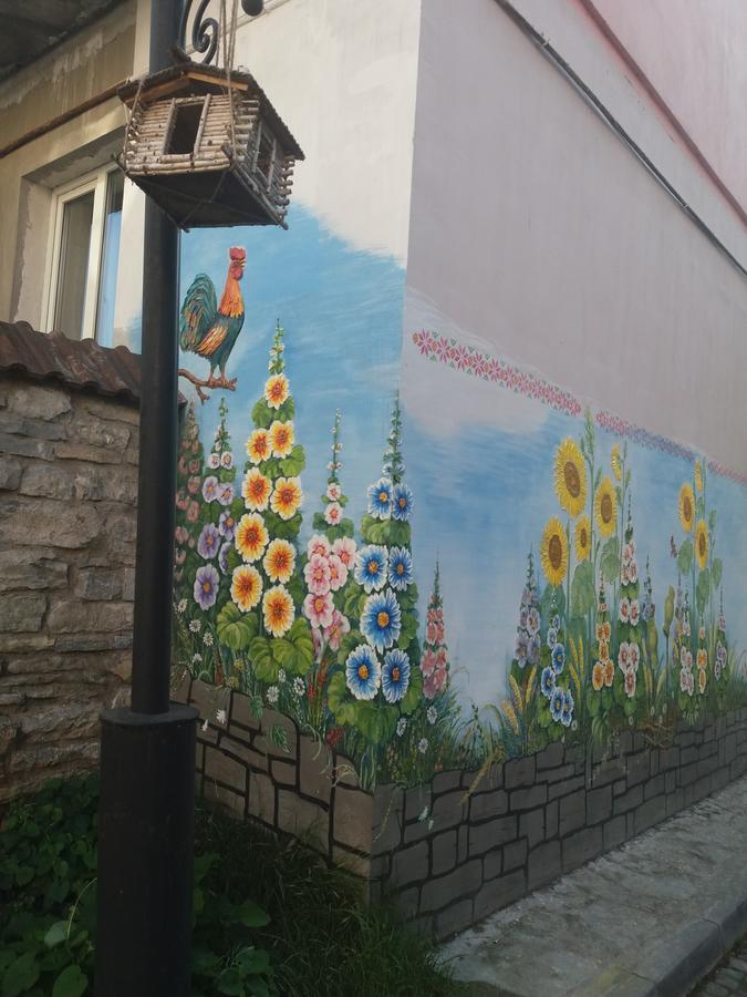 Уютные Апартаменты В Самом Сердце Старого Города Kamjanets-Podilskyj Exteriör bild